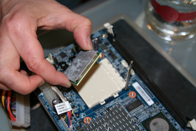 hp processor identification utility hp processor identification utility
