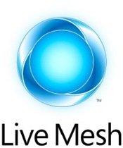 Logo Mesh Logo