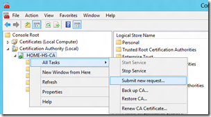 Windows Server 2012 Essentials with your own Homemade Certificate