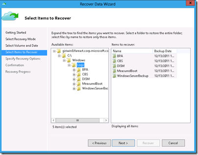Recover Data Wizard in the Microsoft Online Backup Service