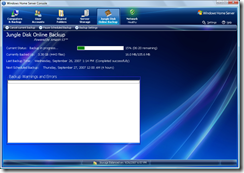 Jungledisk2