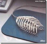 Mouse Virus