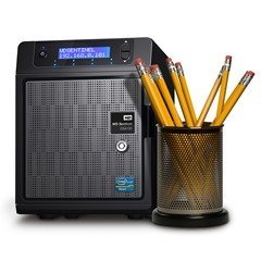 WD Sentinel DS6100